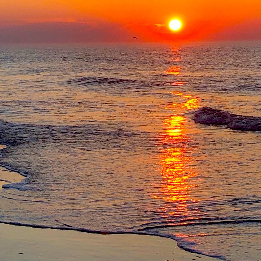 Meet your Posher, Mar